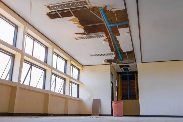 Best 24-hour water damage restoration  in Fritch, TX