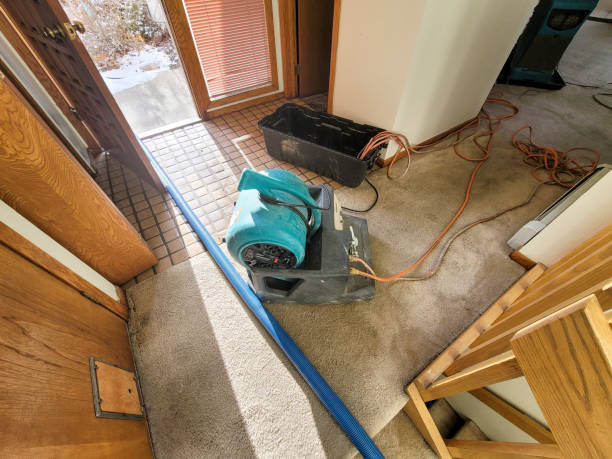 Best Carpet water damage restoration  in Fritch, TX