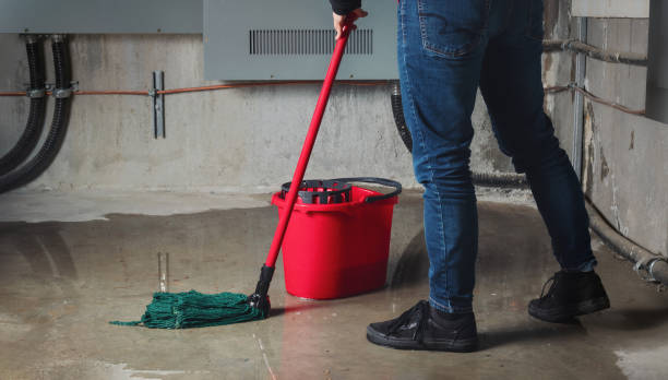 Best Residential water damage restoration  in Fritch, TX