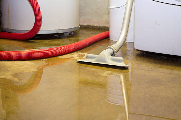 Best Water damage restoration services  in Fritch, TX