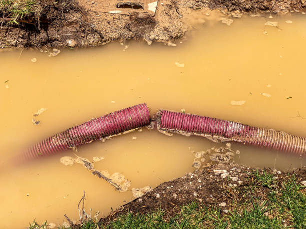 Best Flood damage cleanup  in Fritch, TX